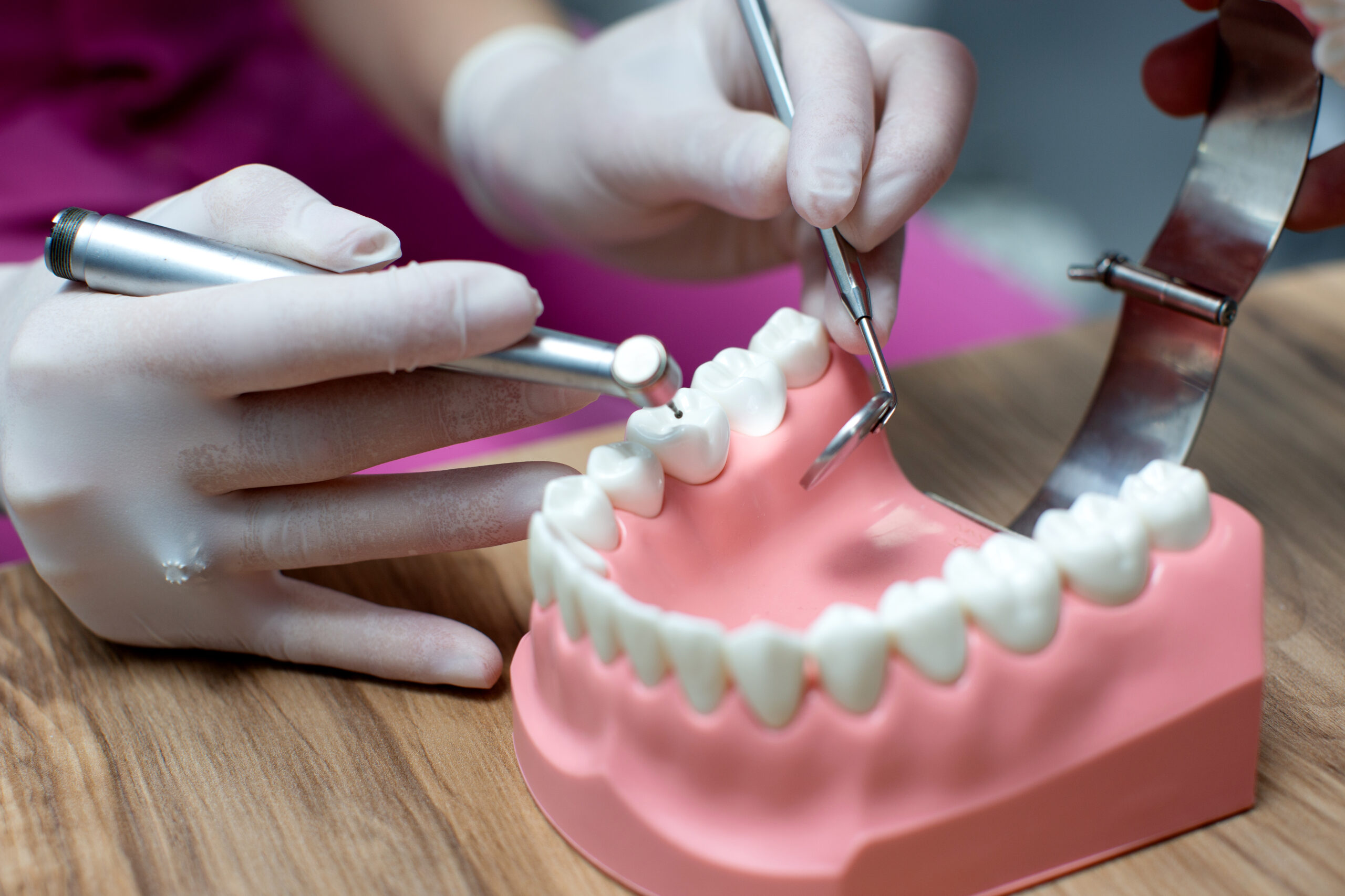 nurse practicing on the layout of the jaw with teeth